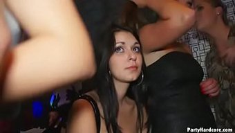 Grup Seks Ve Sert Sikişle Vahşi Bir Partiye Hazır Olun.