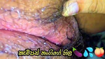 Sri Lankalı Üniversite Kızı Nangita, Kondomla Komik Bir Videoda Yaramazlık Yapıyor