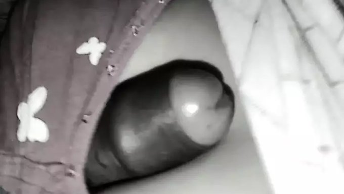 18 Yaşındaki Karı Derin Boğaz Ve Anal Sikiş Alıyor